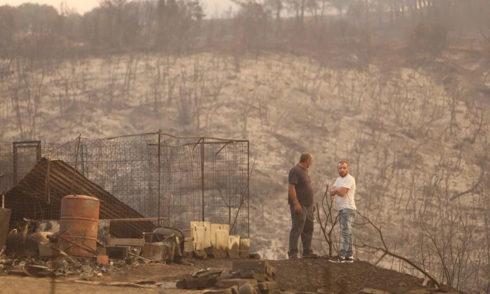 WWF: Μελέτη αποκατάστασης για τα 935.000 καμένα στρέμματα στον Έβρο